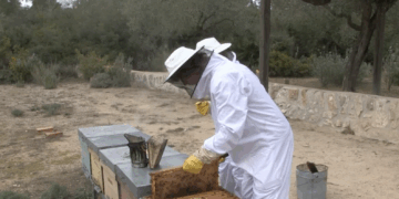 Promoure la venda i el joc en català, objectiu del programa Totjoc 