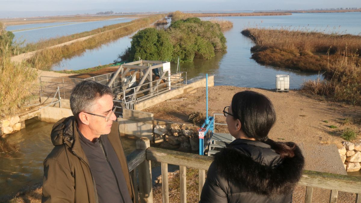 El delta de l’Ebre afronta la urgència de salvar una “banyera” que s’enfonsa amb el canvi climàtic