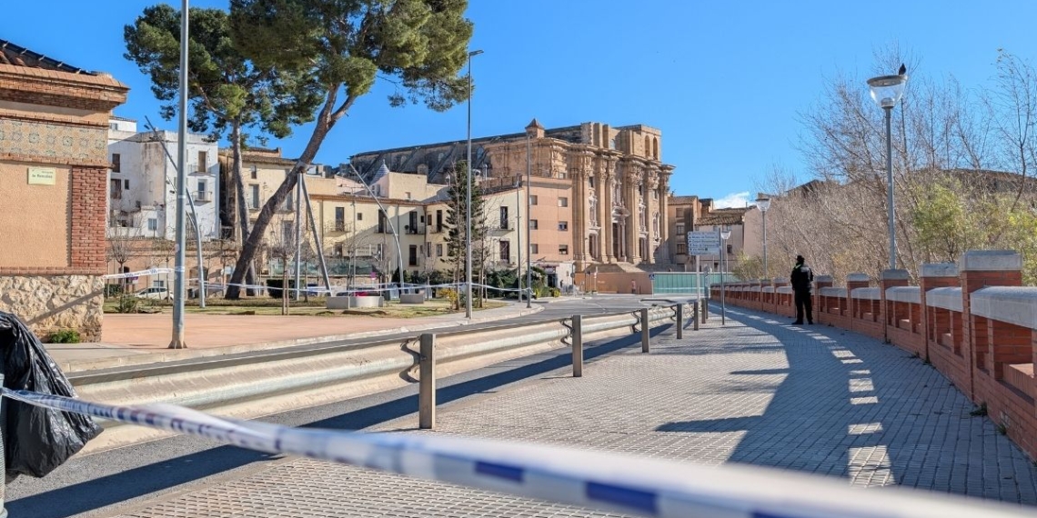 L’Ajuntament de Tortosa talla l’avinguda de Remolins i demana precaució pel risc de caiguda d’arbrat