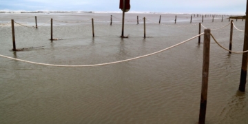 notícies Trabucador