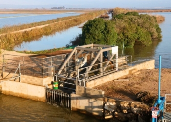 notícies Delta de l'Ebre