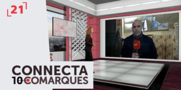 Campanya del cítric marcada per la climatologia i la producció del producte