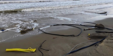 notícies llevantada