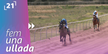 Cursa de cavalls pura sang anglesos a La Sènia