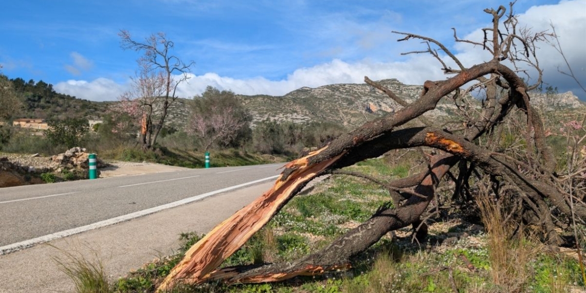 El temporal de vent causa talls de llum i ratxes de 150 km/h a les Terres de l’Ebre