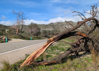 El temporal de vent causa talls de llum i ratxes de 150 km/h a les Terres de l’Ebre