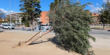 Tortosa tanca les instal·lacions esportives i els centres educatius pel temporal de vent