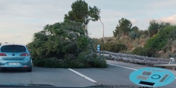 El fort vent complica la mbilitat per carretera i ferrocarril a les Terres de l’Ebre