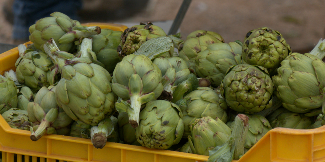 L’Aldea celebra la Festa de la Carxofa amb més de 7.000 racions i un gran èxit de participació