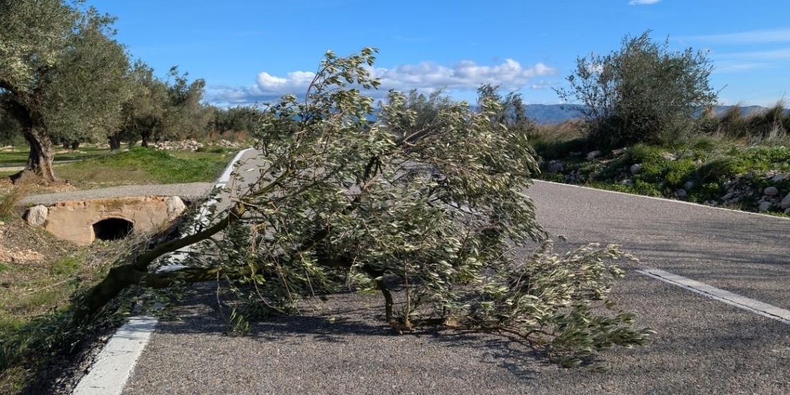 Alcaldes de l’Ebre critiquen la gestió del temporal de vent i el retard en l’alerta als mòbils