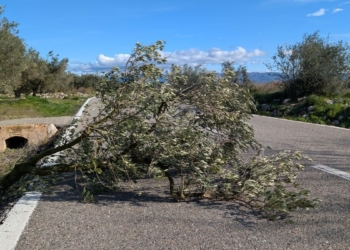 Alcaldes de l’Ebre critiquen la gestió del temporal de vent i el retard en l’alerta als mòbils