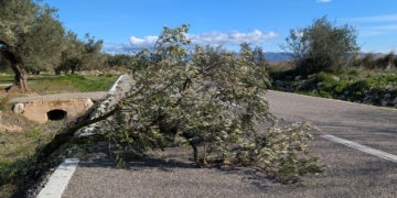 Alcaldes de l’Ebre critiquen la gestió del temporal de vent i el retard en l’alerta als mòbils