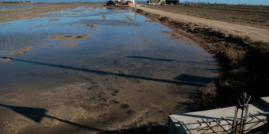 Els regants de l’Esquerra de l’Ebre inicien el bombeig d’aigua dolça als arrossars per treure’n la salinitat