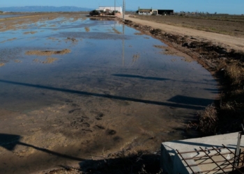 Els regants de l’Esquerra de l’Ebre inicien el bombeig d’aigua dolça als arrossars per treure’n la salinitat