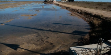 Els regants de l’Esquerra de l’Ebre inicien el bombeig d’aigua dolça als arrossars per treure’n la salinitat