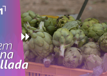 II Festa de la Carxofa de l’Aldea