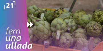 II Festa de la Carxofa de l’Aldea