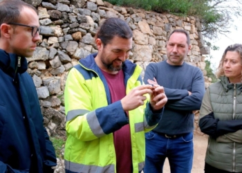 ceràmica antiga Paüls