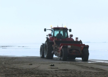 notícies Trabucador