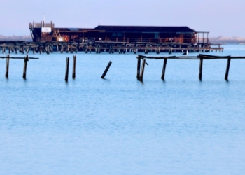 muscleres badia del Fangar