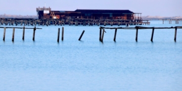 muscleres badia del Fangar