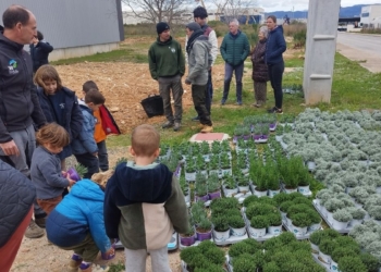 Una setantena de voluntaris creen un oasi per a pol·linitzadors als jardins de l’Eurecat