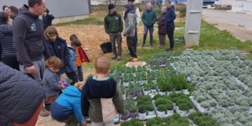 Una setantena de voluntaris creen un oasi per a pol·linitzadors als jardins de l’Eurecat