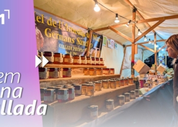 Televisió Terres de l'Ebre