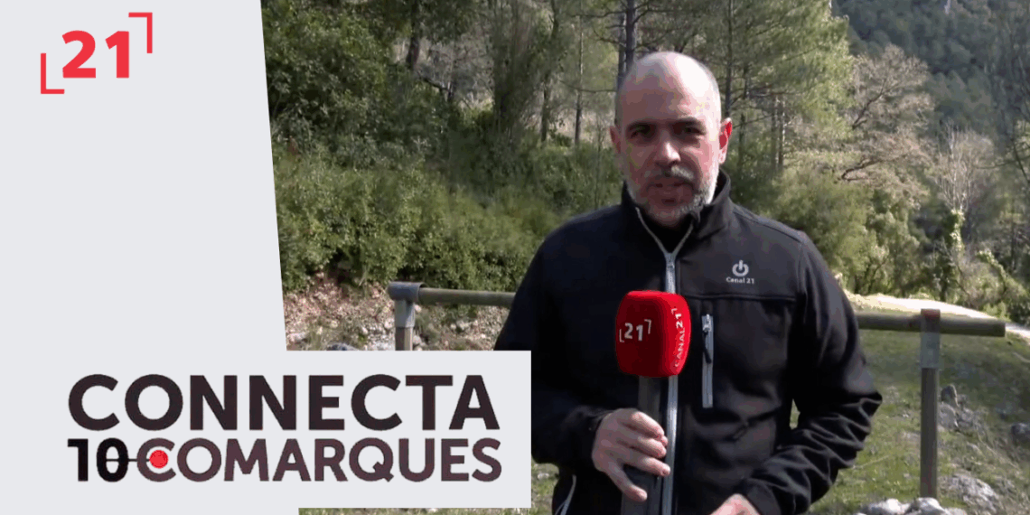 Disminueix la presència de processionària al Parc Natual dels Ports