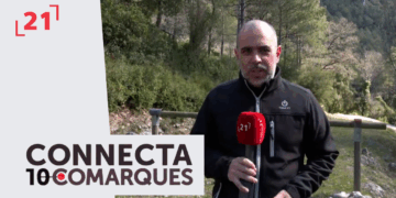 Disminueix la presència de processionària al Parc Natual dels Ports