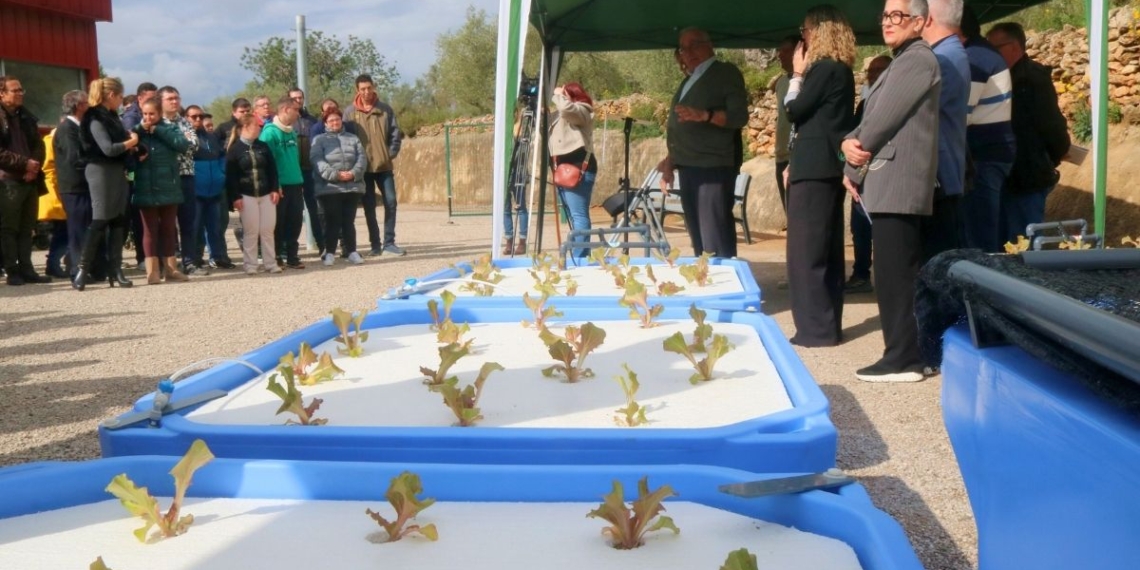 Fundació Mercè Pla Tortosa