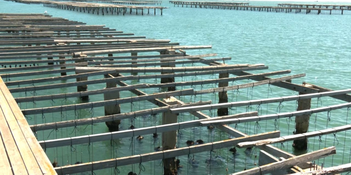 Televisió Terres de l'Ebre