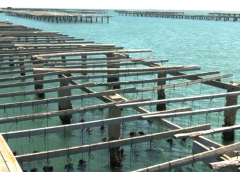 Televisió Terres de l'Ebre