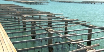 Televisió Terres de l'Ebre