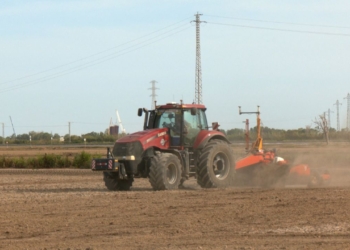 Arrossaires denuncien ajuts bloquejats per deutes i reclamen compensacions per poder iniciar la campanya