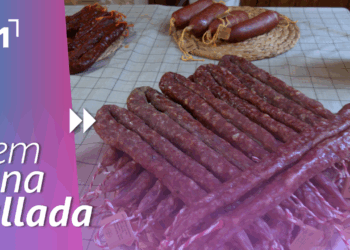 XIII Fira del Tocino de Caseres