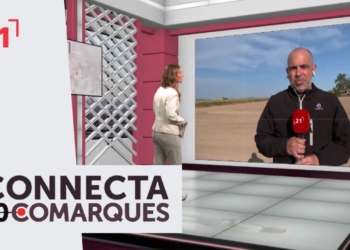 Arrosaires sense ajudes per impagaments no poden començar la campanya