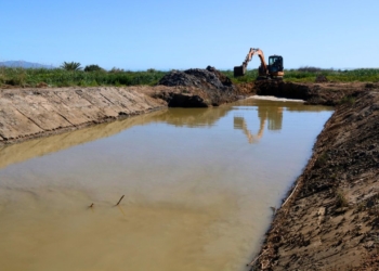 obres bassa de les Olles