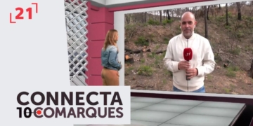 Roquetes fa una reforestació solidària al barranc dels Fornets de Xerta