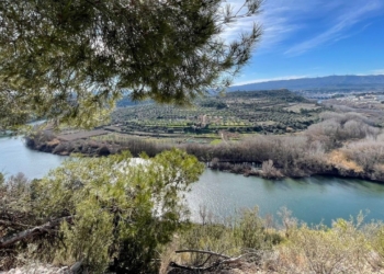 L’ACA treu a licitació els treballs per a la millora ambiental del meandre de Flix
