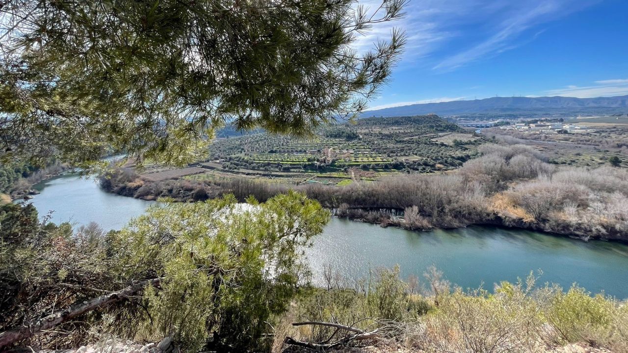 L’ACA treu a licitació els treballs per a la millora ambiental del meandre de Flix