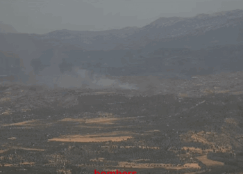 15 dotacions treballen en un incendi a Vinebre a prop de la zona cremada de 2019