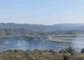 Estabilitzat l’incendi a Vinebre que ha cremat una zona afectada pel foc de 2019