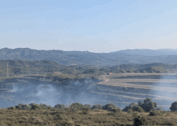 Estabilitzat l’incendi a Vinebre que ha cremat una zona afectada pel foc de 2019
