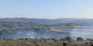 Estabilitzat l’incendi a Vinebre que ha cremat una zona afectada pel foc de 2019