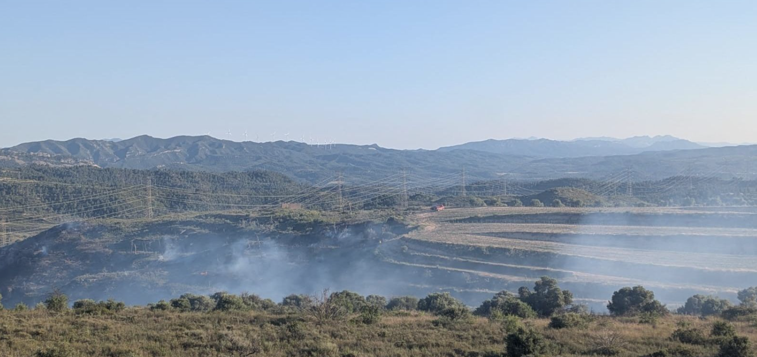 Estabilitzat l’incendi a Vinebre que ha cremat una zona afectada pel foc de 2019