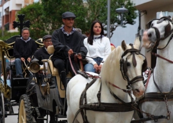 notícies ebre