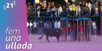 Tarde de Bous a Alcanar