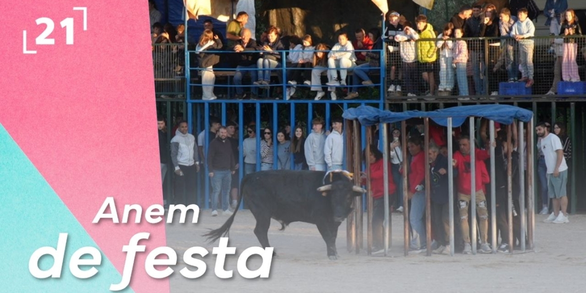 Tarde de Bous a Alcanar