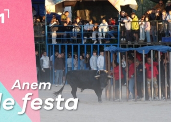 Tarde de Bous a Alcanar